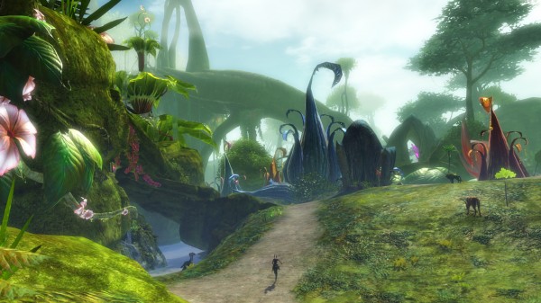 Exploring-Sylvari-Starter-Area