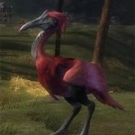 juvenile_flamingo_gw2_ranger_pets