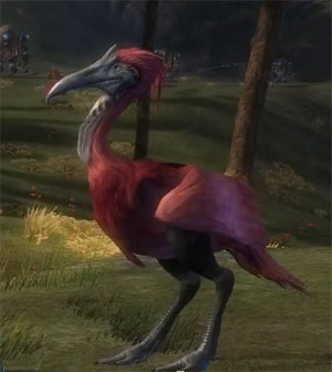 juvenile_flamingo_gw2_ranger_pets