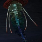juvenile_rainbow_jellyfish_gw2_ranger_pet