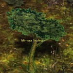 mimosa_sapling_gw2_gathering