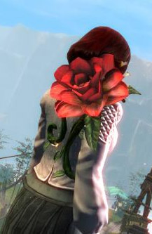 GW2 Desert Rose