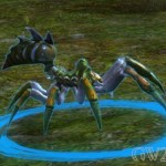 guild-wars-2-mini-pet-forest-spider